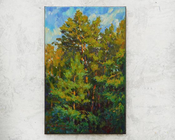 Pine forest