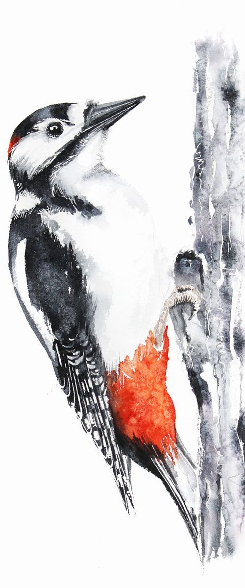 Great woodpecker II, wildlife, birds and animals by Karolina Kijak