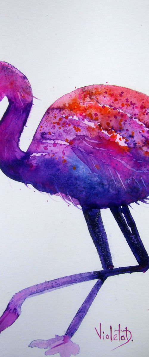Flamingo 3 by Violeta Damjanovic-Behrendt
