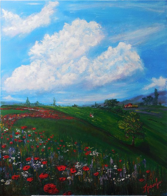 Poppies at the meadow under clouds