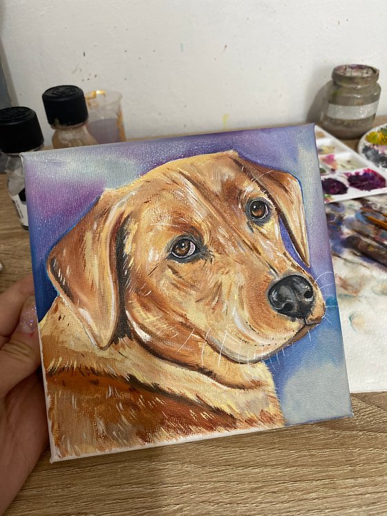 Labrador oil painting