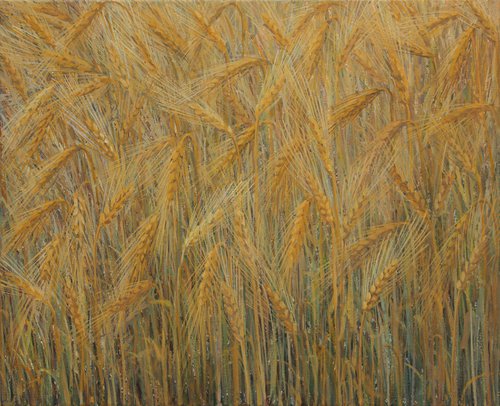 Cereals 2022 , acrylic on canvas, 45 x 55 cm by Alenka Koderman