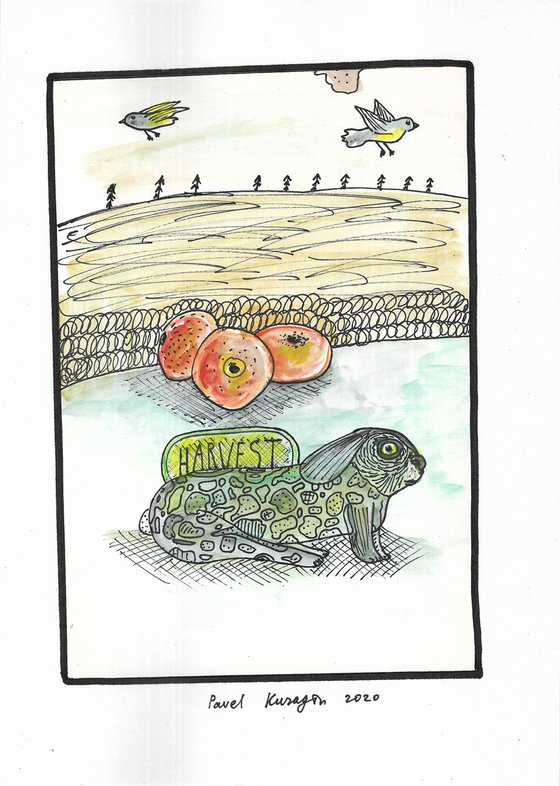Hare and harvest