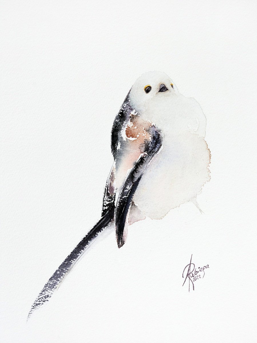 Long-Tailed Tit (Aegithalos caudatus) by Andrzej Rabiega
