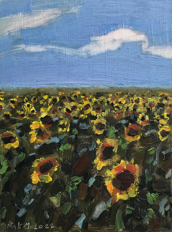 Sunflowers of Ukraine 2