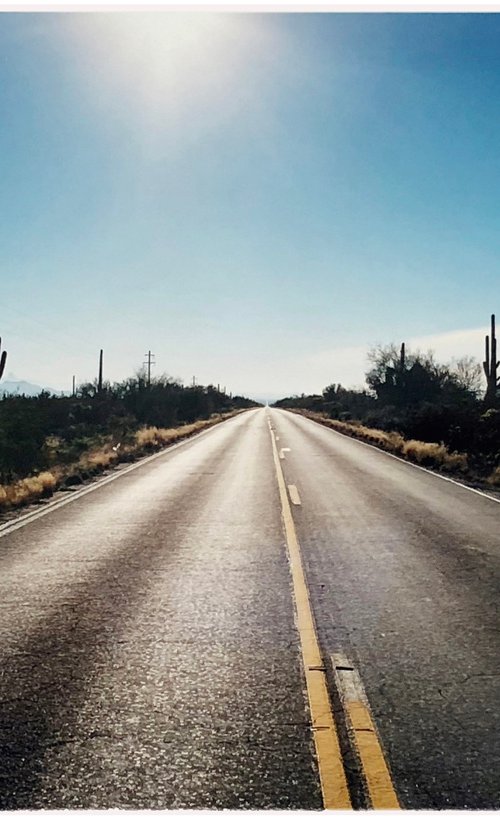 Road to Gunsight, Highway 86, Arizona by Richard Heeps