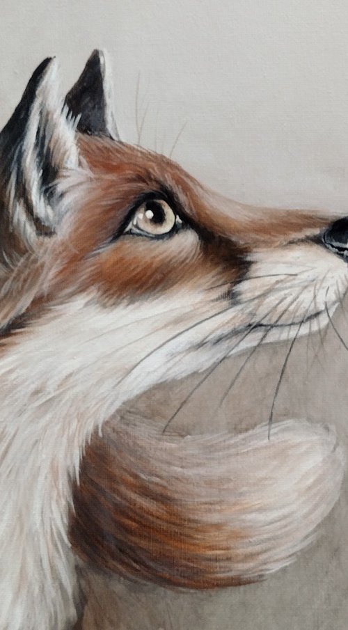 Red Fox by Sara Westaway