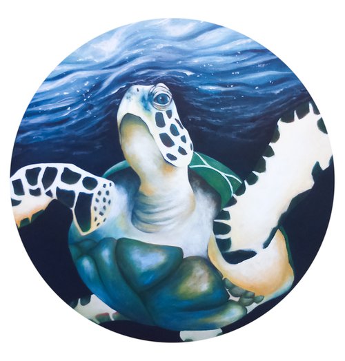 "Sea Turtle" by Christina Bilbili