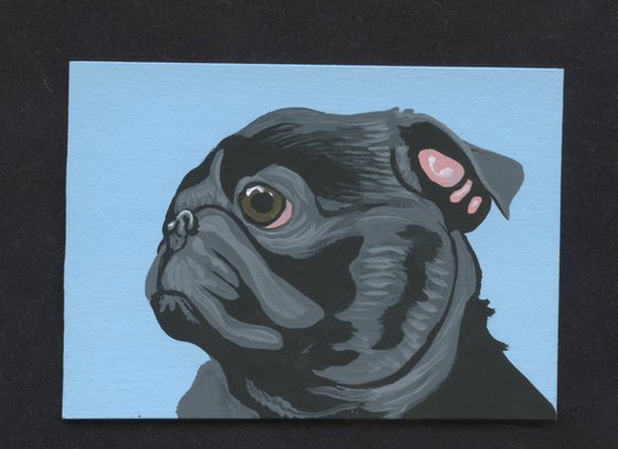 ACEO ATC Original Miniature Painting Black Pug Pet Dog Art-Carla Smale