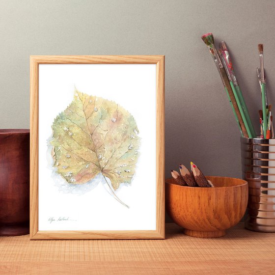 An autumn leaf