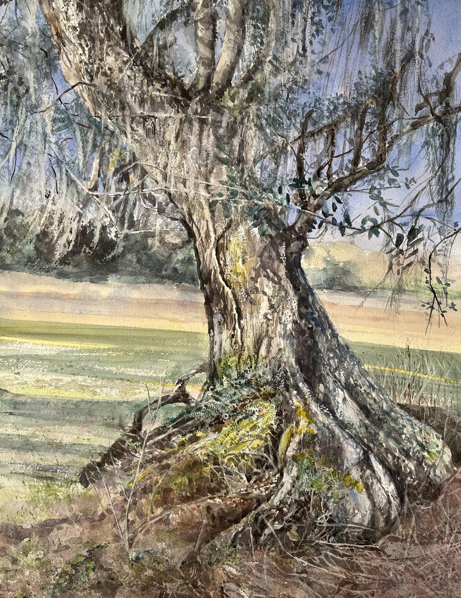 Impressionistic Landscape Watercolour By Yoshiko Murdick, 20 X 26", Roots, Original Artwork