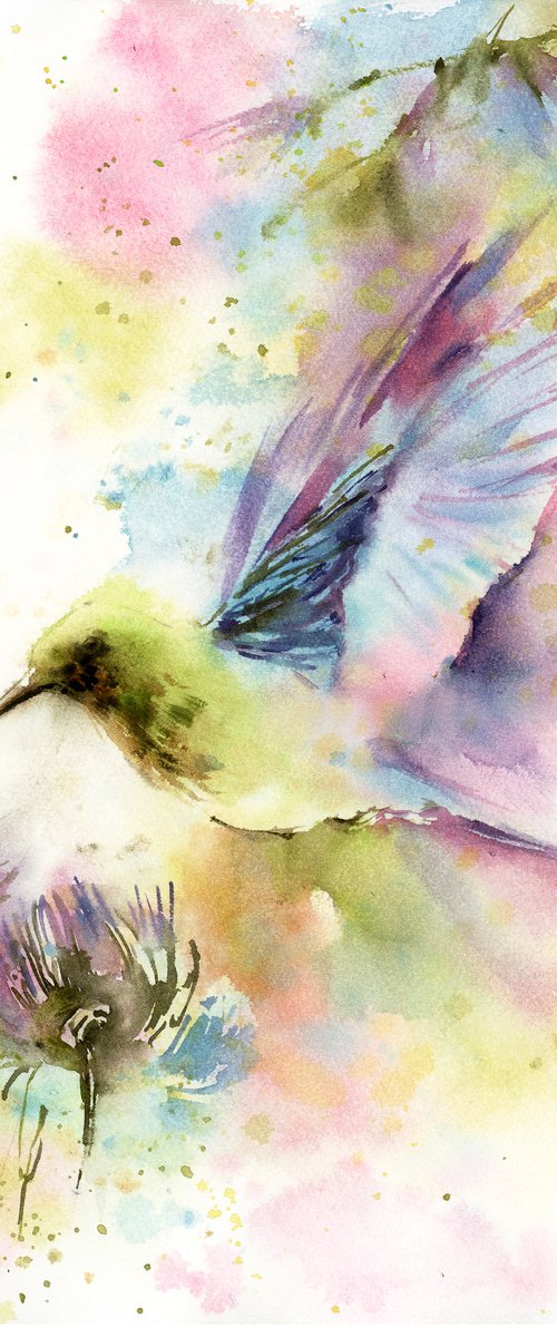 Hummingbird by Sophie Rodionov