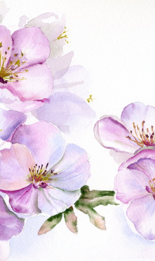 Cherry Blossom by Olga Koelsch
