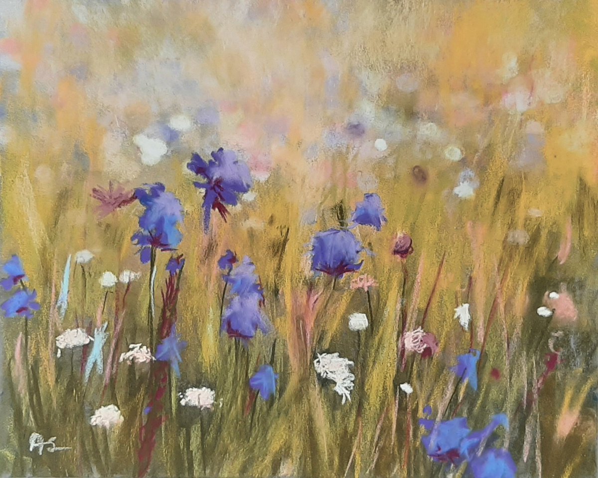 Expressive Botanical Pastel Drawing By Anne Shaughnessy, 12 X 10, Wildflowers, Original Artwork