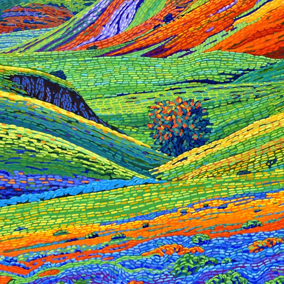 Californian Hills