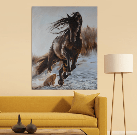 A sunbeam paints a black beautiful horse.