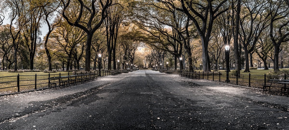 Photorealistic Cityscapes Photograph By Nick Psomiadis, 79 X 35", Poets Walk Central Park, Original Artwork