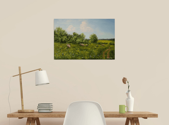 Sheep Meadow, Sunny Countryside Farm Field