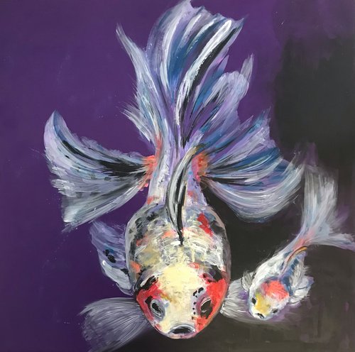 Ryukin goldfish by Laura Beatrice Gerlini