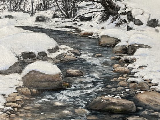 Winter Stillness in Motion