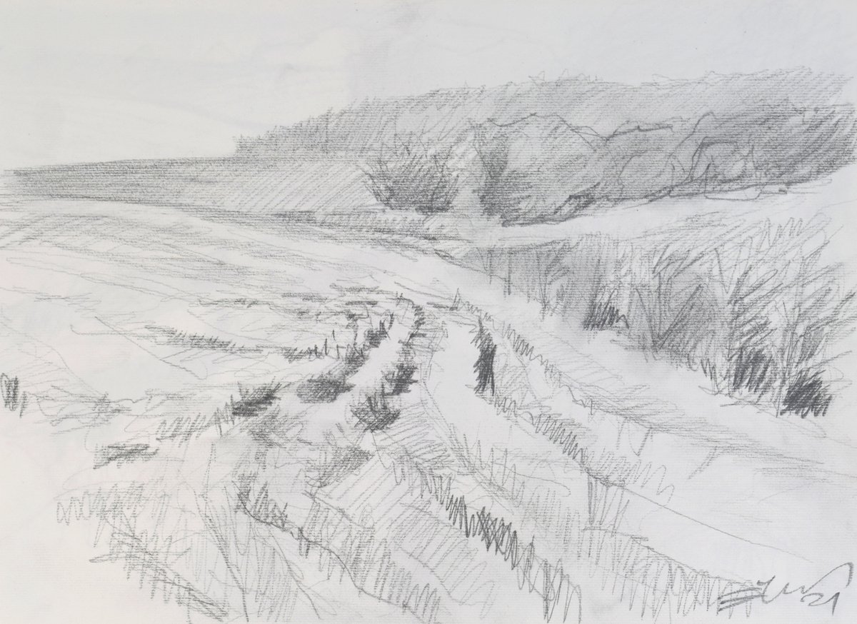 Expressive Animal Pencil Drawing By Goran Zigolic Watercolors, 17 X 12, Traces In The Field, Original Artwork