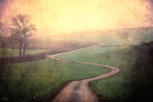 Road to the Home by Janek Sedlar