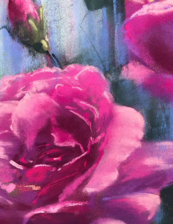Blooming Rose  (series Pinksome in Rose Garden)