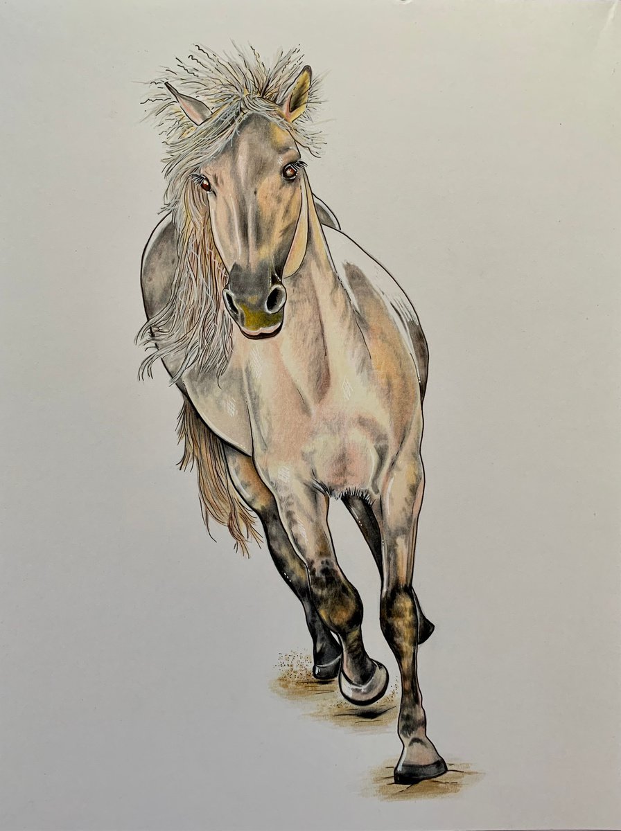 Illustrative Pencil Drawing , Golden Light By Karen Elaine Evans, 12 X 17, Artwork For Sale On Artfinder