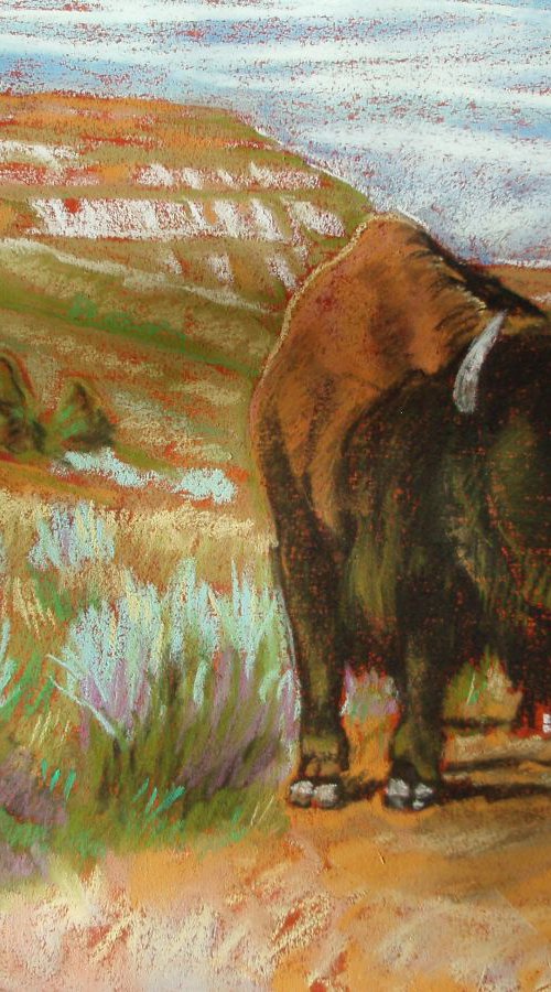 "Solitary Buffalo III" by Lorie Schackmann