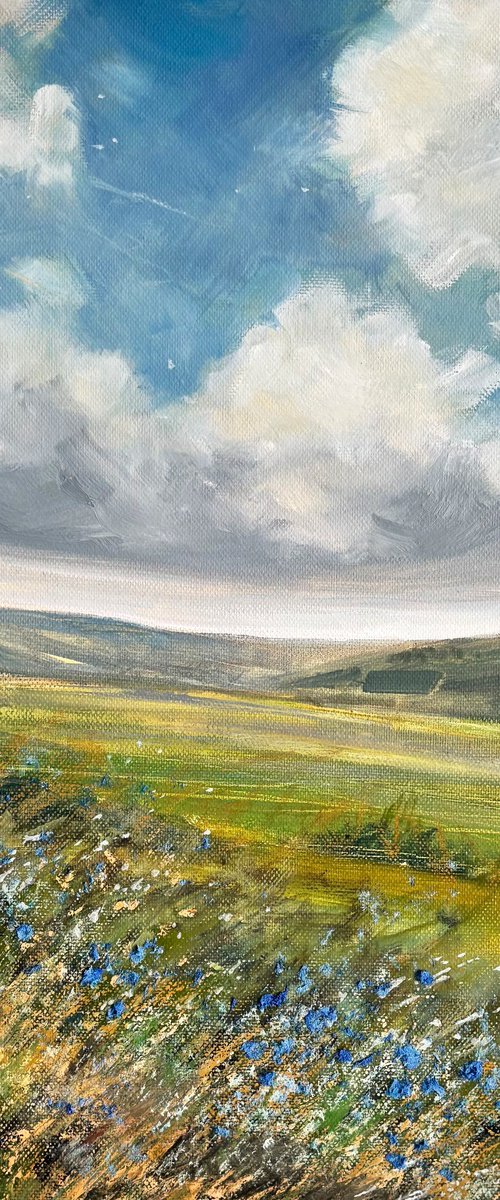 The Winds Of Spring by Jennifer Taylor