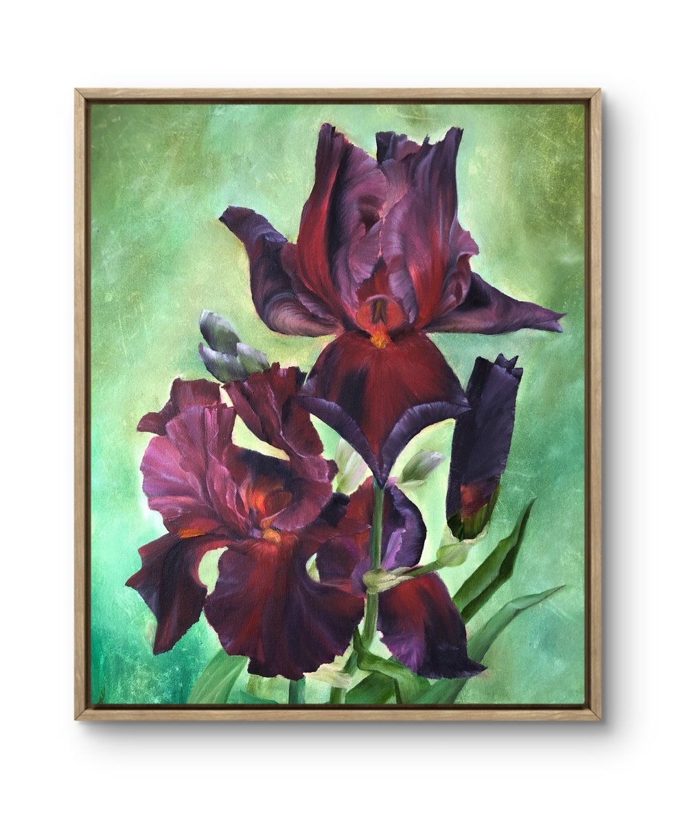 Photorealistic Botanical Oil Painting By Alesia Yeremeyeva, 20 X 24, Play With Fire Irises, Original Artwork
