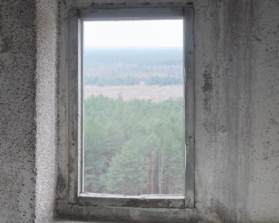 #48. Pripyat. Dog mummy