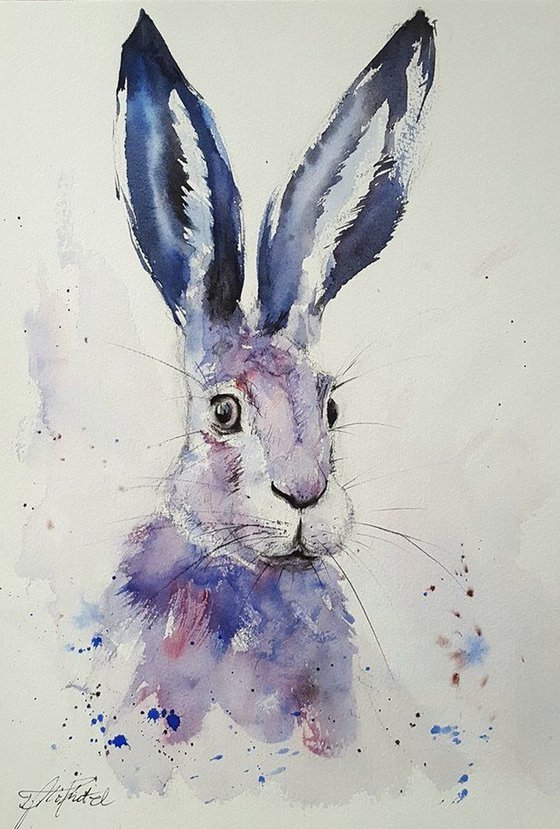 Blue Hare