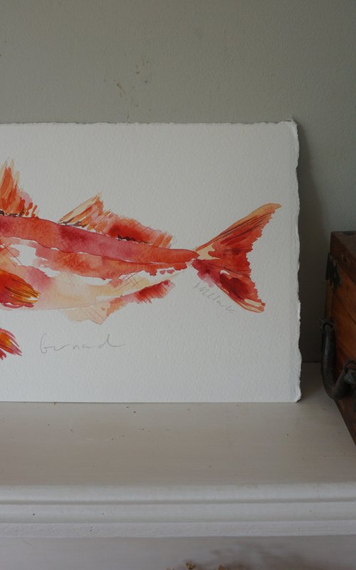 Gurnard fish by Hannah Clark