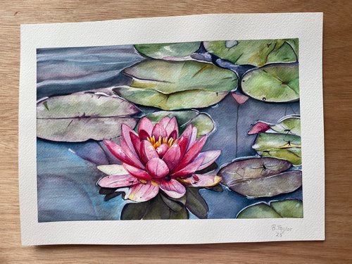 “Peace” lily pads watercolour painting by Bethany Taylor