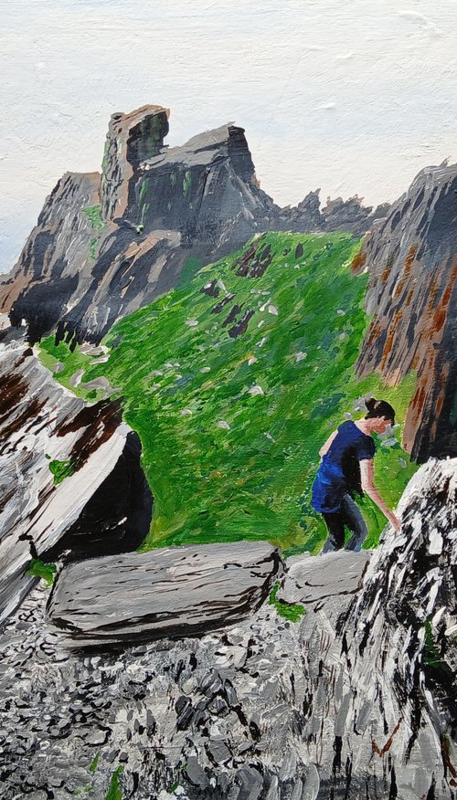 On Skellig 1 by Cathal Gallagher