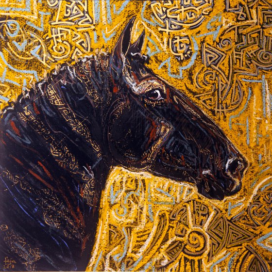 "Black horse"