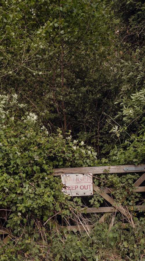 Danger! by Adam Regan