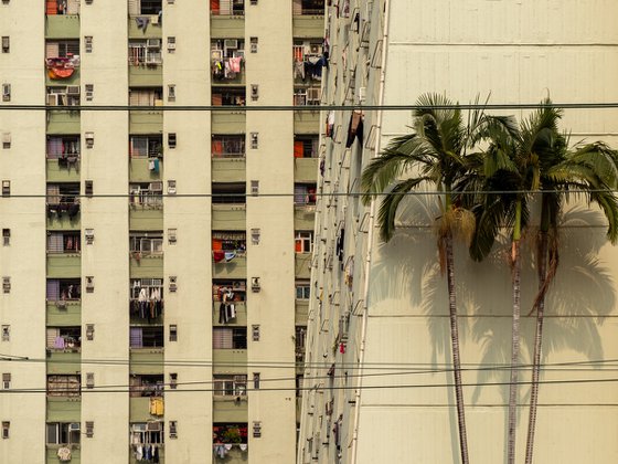 Concrete, Palm Trees and Power Lines