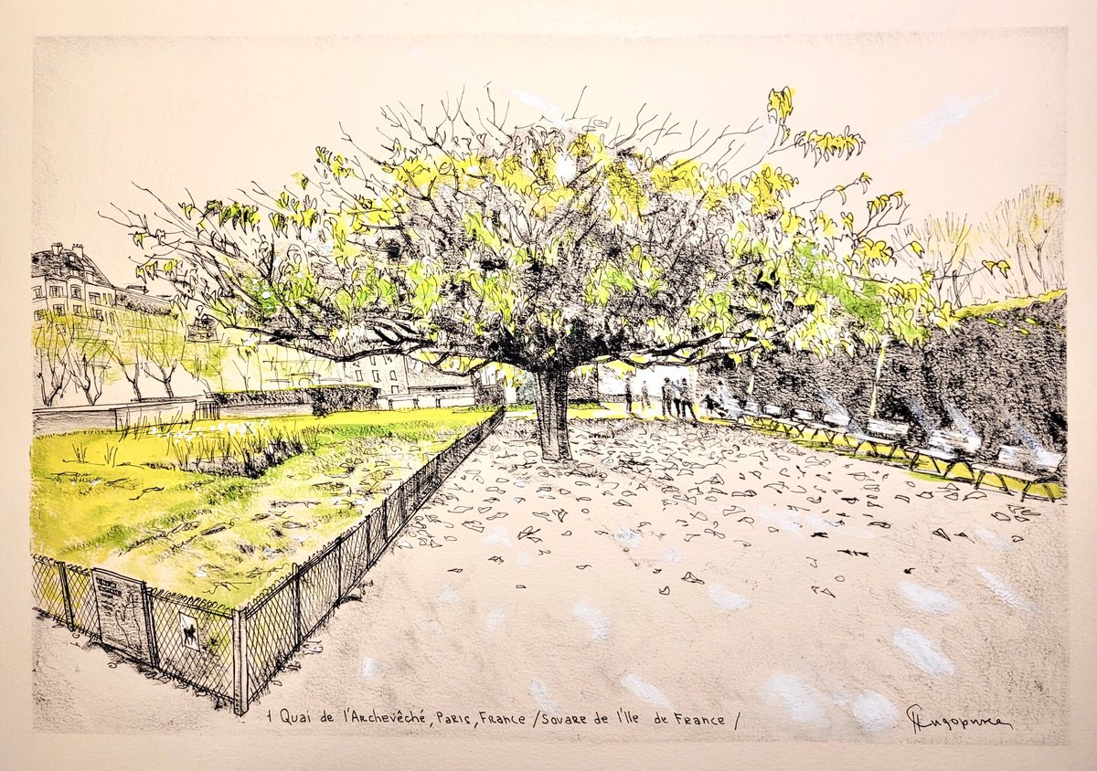 Graphic Cityscapes Drawing By Natalia Sidorina, 17 X 12", Tree,Square De L