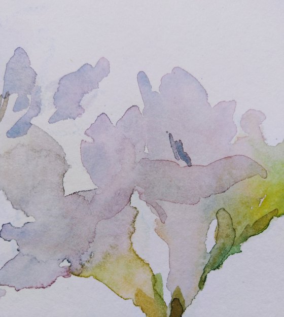 Freesias # 3 original watercolour painting.