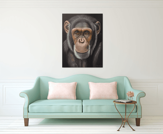 The Gaze of Chimpanzee