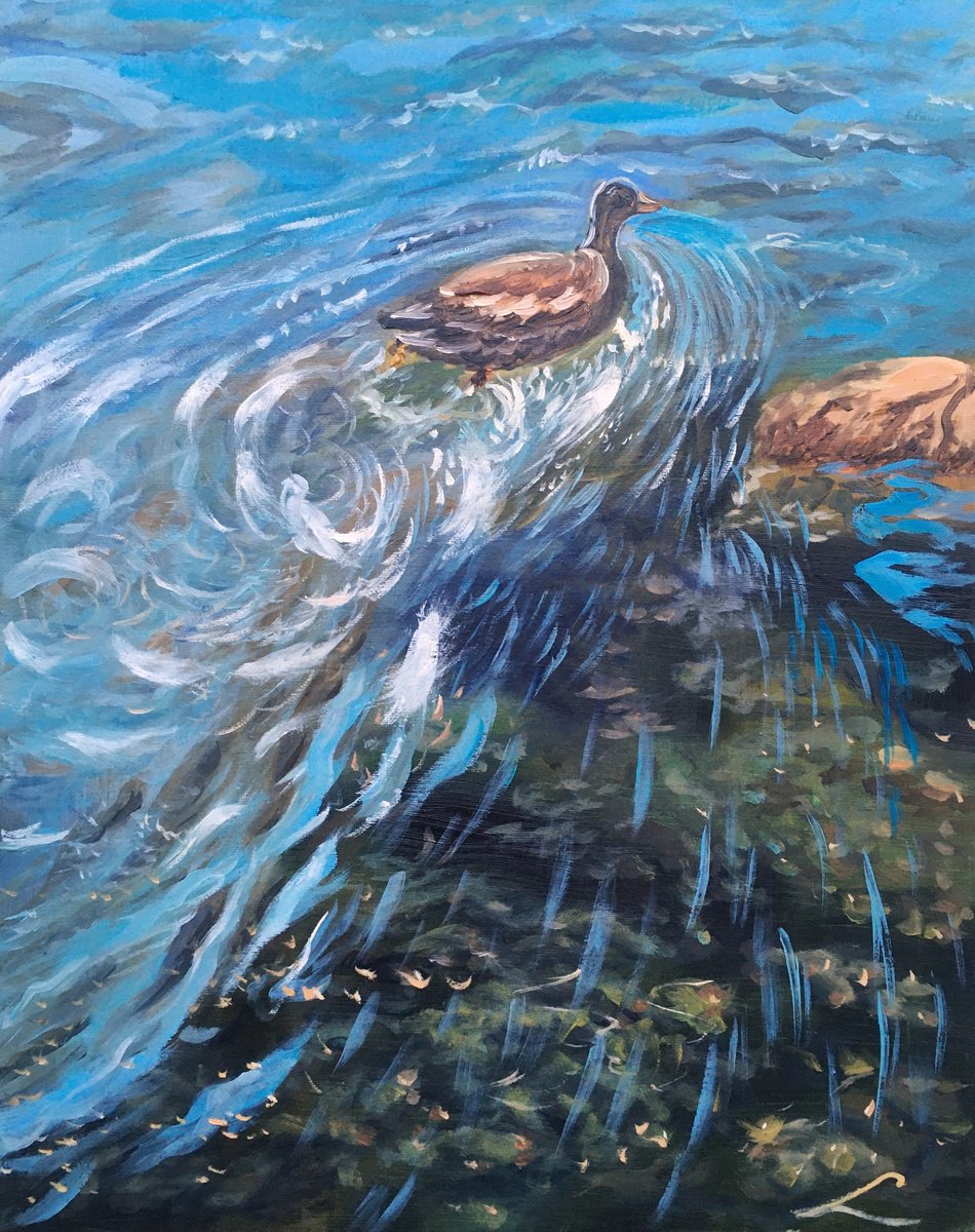 Impressionistic Animal Oil Painting By Elena Sokolova, 16 X 20, Swimming Duck, Original Artwork