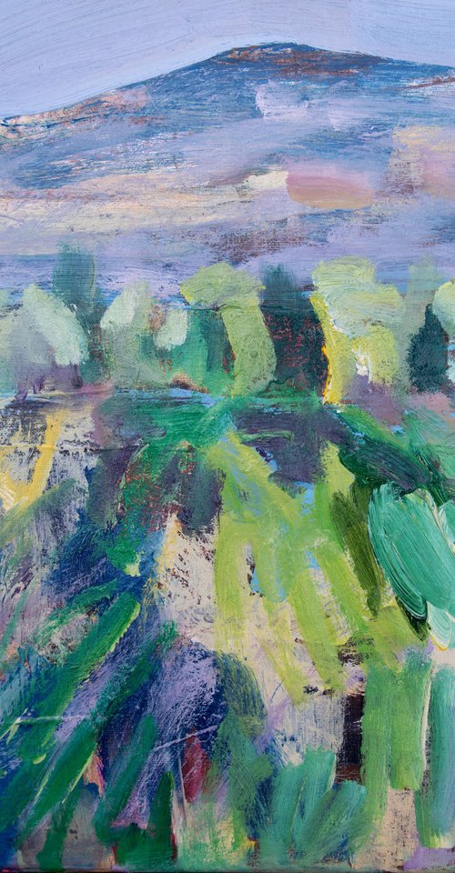 Peaceful Grassy Meander by Elizabeth Anne Fox