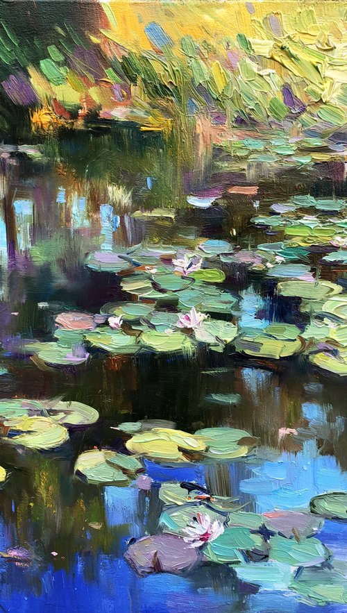 Water lilies in the pond by Vladimir Lutsevich