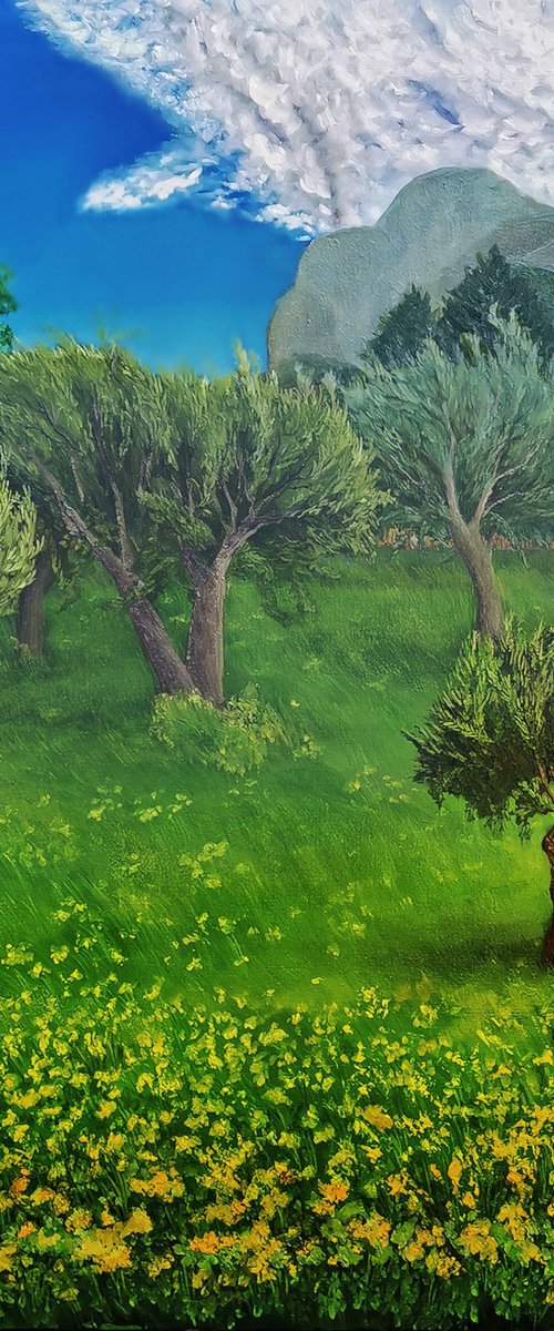 Olive grove in spring. Sicily. by Oksana Siciliana