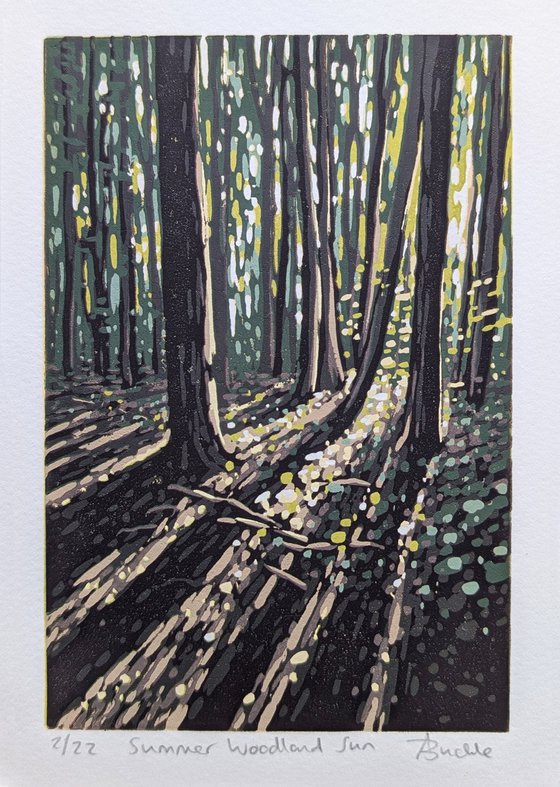 Summer Woodland Sun
