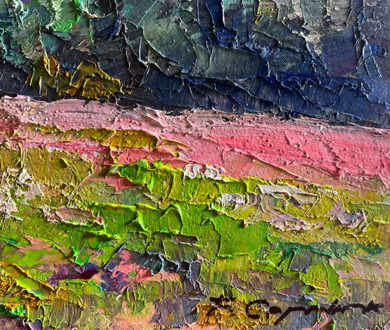 Flowery Mountain Meadows