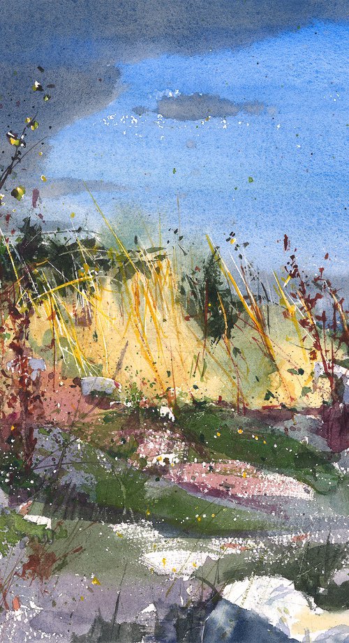 Golden Grasses of County Kerry by Yurii Prysiazhnyi
