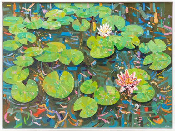 Tasman Lily Pond 50